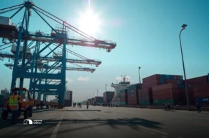 alíquota zero para PIS/PASEP e COFINS na importação