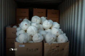 classificação fiscal na importação de lenços umedecidos antissépticos