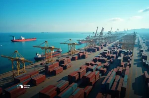 créditos de PIS/COFINS sobre insumos na importação